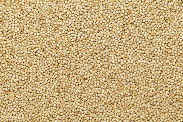Quinoa bílá BIO 25 kg