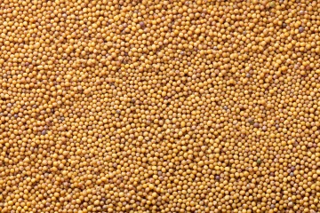 Organic mustard seeds yellow  25 kg