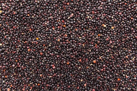 Quinoa černá BIO 25 kg