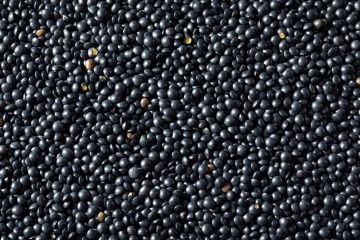 Lentil black Beluga 25 kg