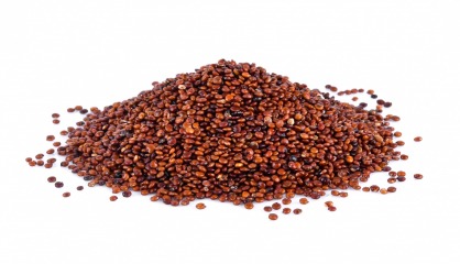  500 g