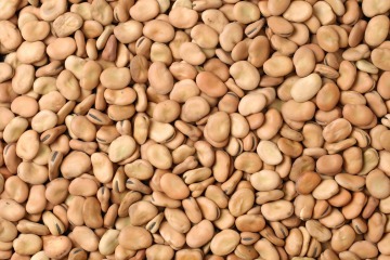 Fava beans 25 kg
