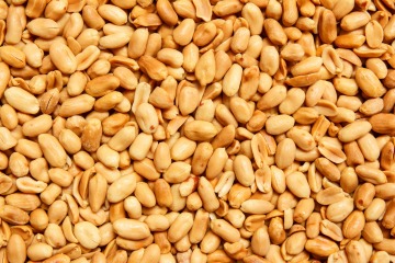 Organic roasted unsalted peanuts 20 kg