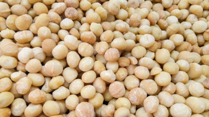 Noix de macadamia jumbo RAW 11.34 kg