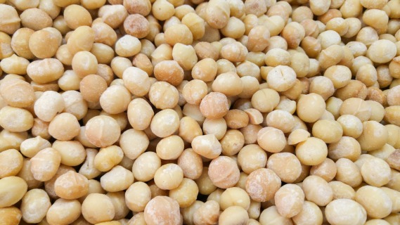 Macadamia nuts jumbo RAW 11.34 kg