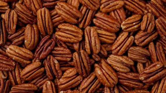 Organic pecan 11.61 kg