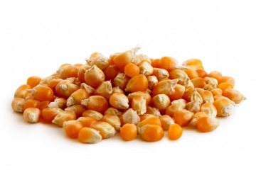 Organic popcorn  1 kg