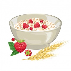 Porridge natural BIO Raspberries and dark chocolate 250 g