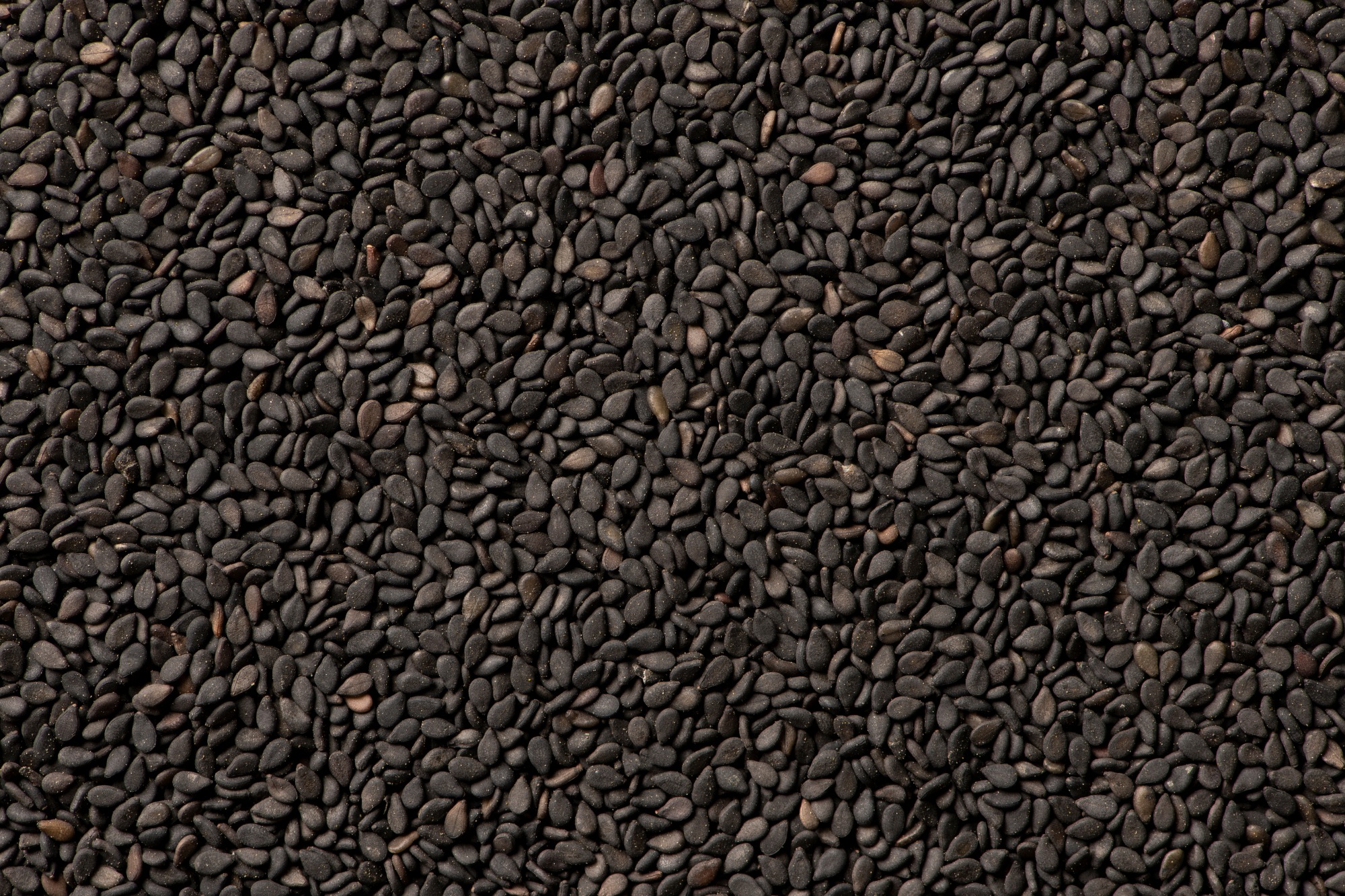Sesame Meteriles Black sesame seeds | Import of natural raw materials – Covitar s.r.o.