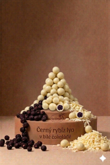 Schwarzer Johannisbeer-Lyo weißer Schokolade 5 kg