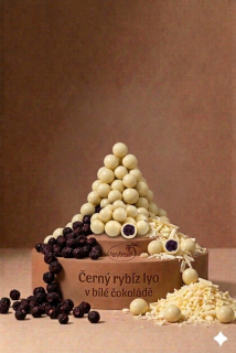 Schwarzer Johannisbeer-Lyo weißer Schokolade 5 kg