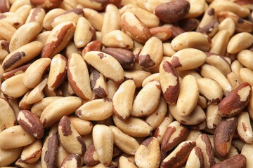 Organic Brazil Nuts 20 kg
