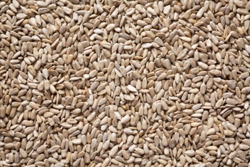 Organic sunflower seeds shelled Bakery  25 kg