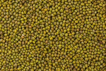 Mungo beans BIO 25 kg