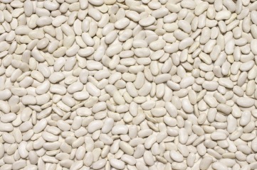 Organic white beans 25 kg