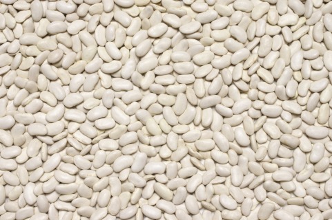 Organic white beans 25 kg