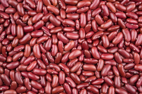 Organic Kidney beans 25 kg