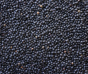 Organic black lentils 25 kg
