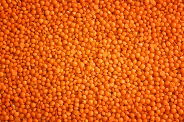 Organic red lentils 25 kg