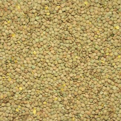 Organic green lentils 25 kg
