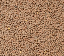 Organic brown lentils 25 kg