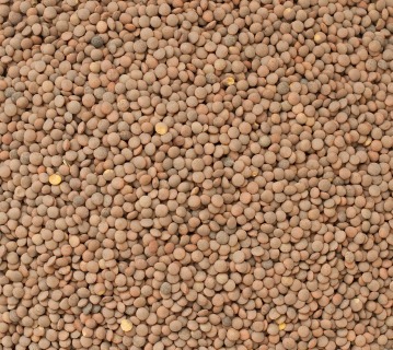 Organic brown lentils 25 kg