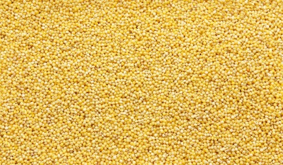 Millet Bio  25 kg