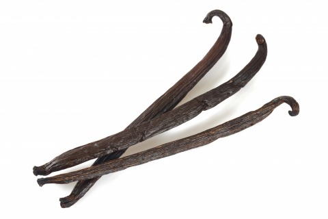 Organic vanilla pod Bourbon 16-18cm 