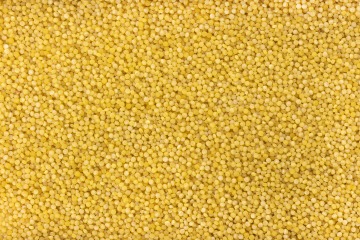 Couscous de blé entier BIO 25 kg