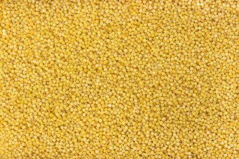 Organic wholegrain couscous  25 kg