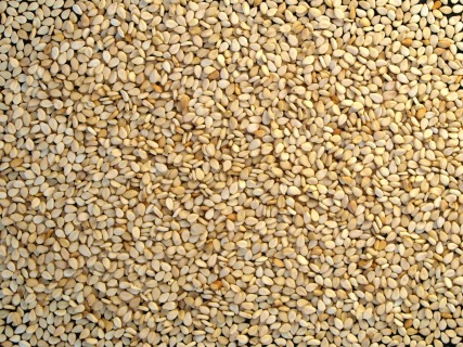Organic white sesame seeds unhulled 25 kg