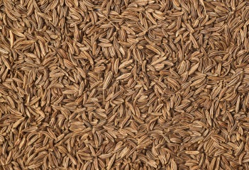 Organic Cumin whole 25 kg