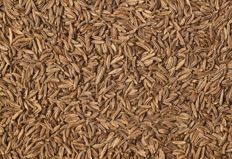 Organic Cumin whole 25 kg