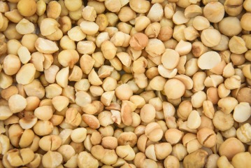 Organic macadamia nuts Industrial RAW 11.34 kg