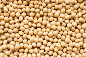Organic soybeans 25 kg