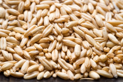 Oats  25 kg