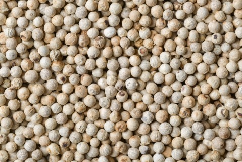 Organic white pepper whole 1 kg