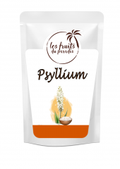 Psyllium husk - Skorocel indický