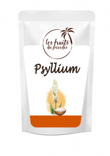 Psyllium husk - Jitrocel indický