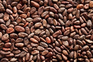 Organic whole cocoa beans RAW 15 kg