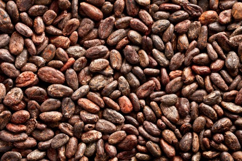 Kakaowe ziarna całe RAW BIO  15 kg