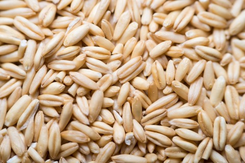Oats BIO 25 kg