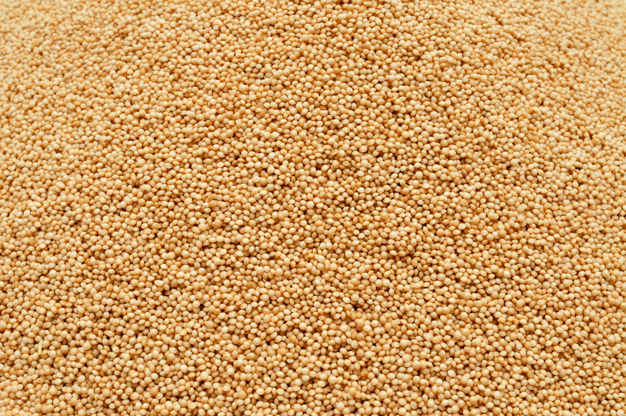 Organic puffed amaranth  15 kg