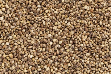 Organic hemp seeds unhulled 20 kg