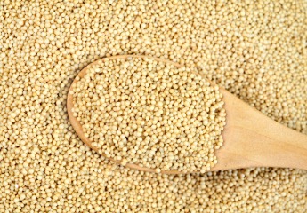 Organic amaranth seeds 25 kg