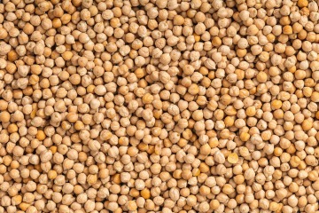 Organic chickpea 7-8 mm 25 kg