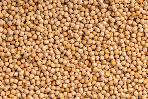 Kichererbsen 7-8mm BIO 25 kg
