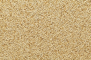 Organic white quinoa 25 kg