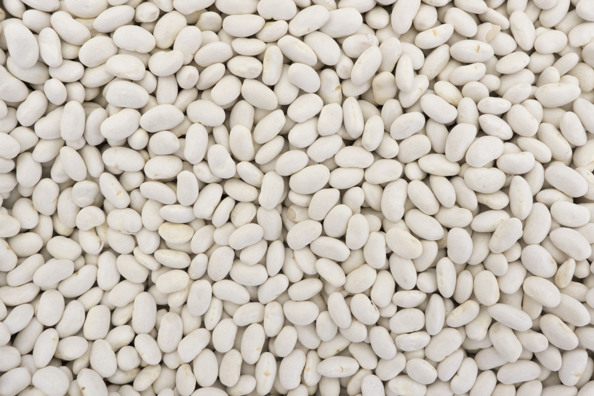 Beans white small 25 kg